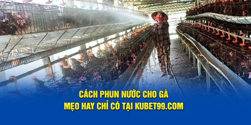 cach-phun-nuoc-cho-ga -meo-hay-chi-co-tai-hubet-com