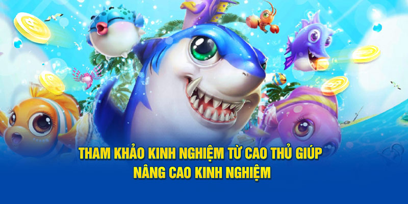 Tham khảo kinh nghiệm từ cao thủ giúp nâng cao kinh nghiệm